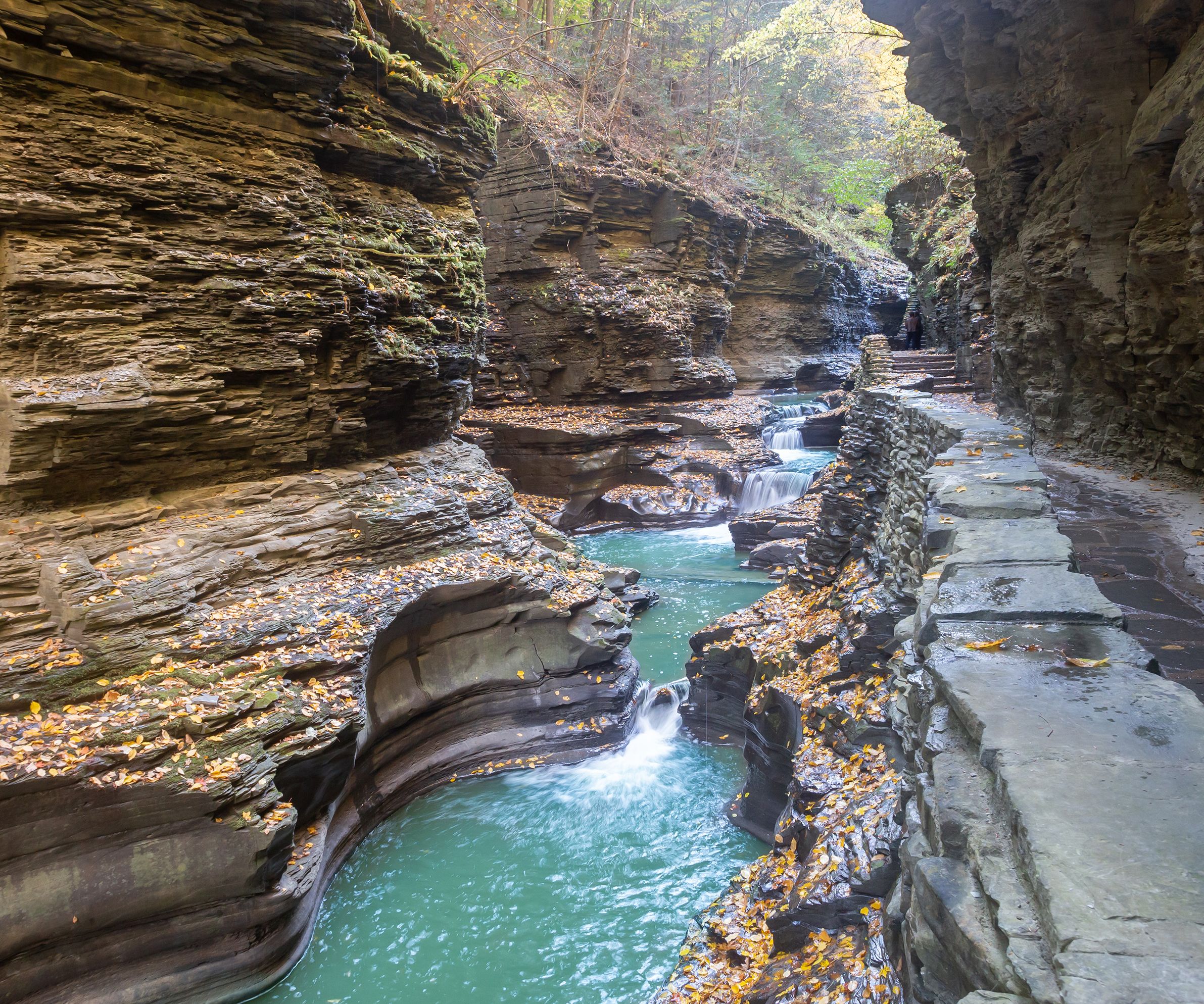 A beautiful photo of the lush and varied landscape of Watkins Glen State Park