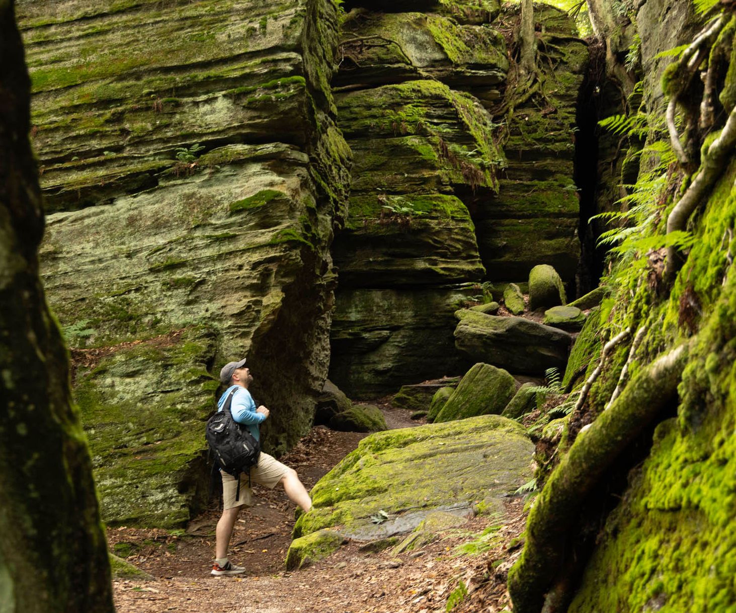 Panama Rocks, New York