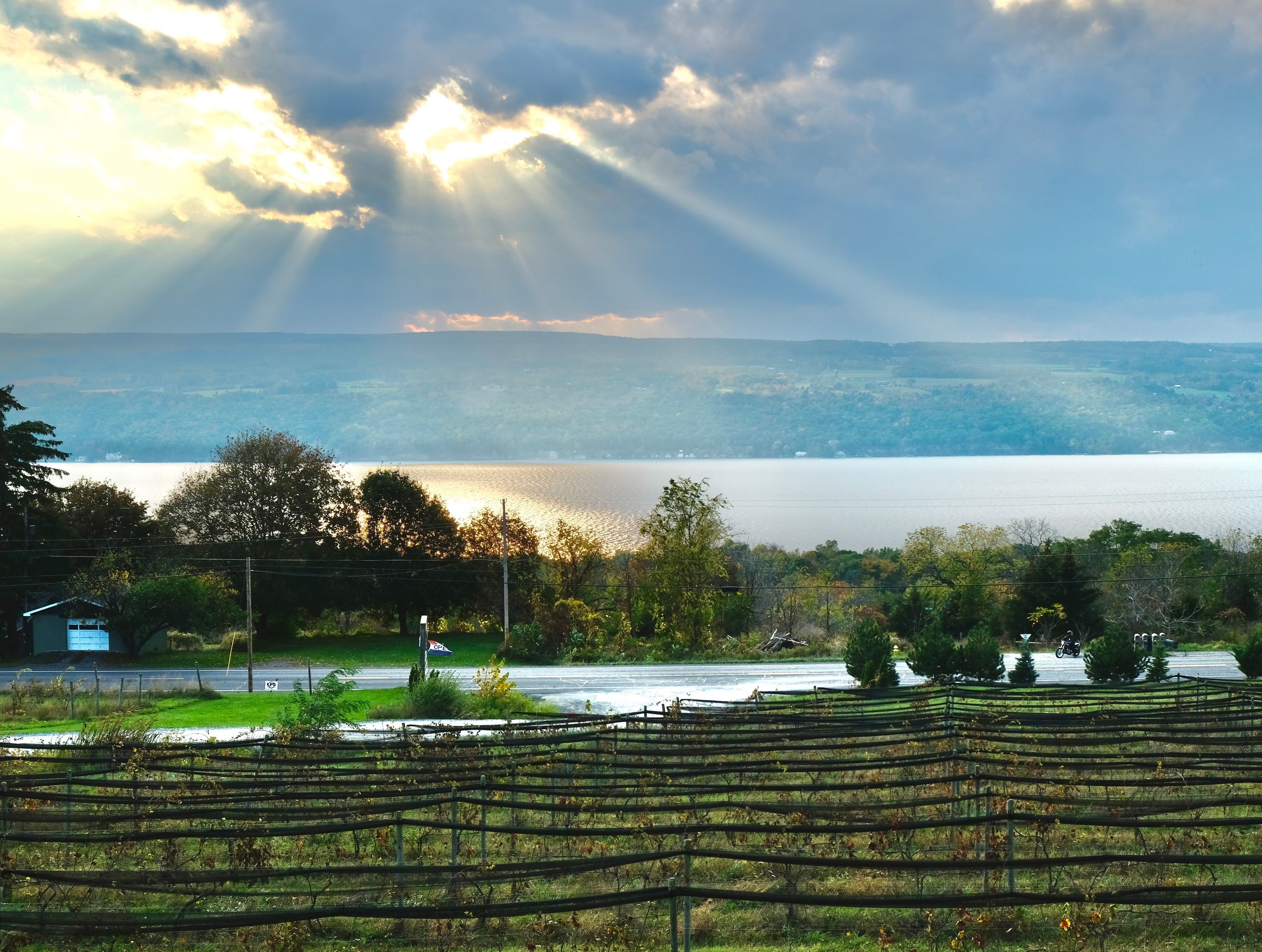 A view of Seneca Lake from one of the many vineyards the line its shores